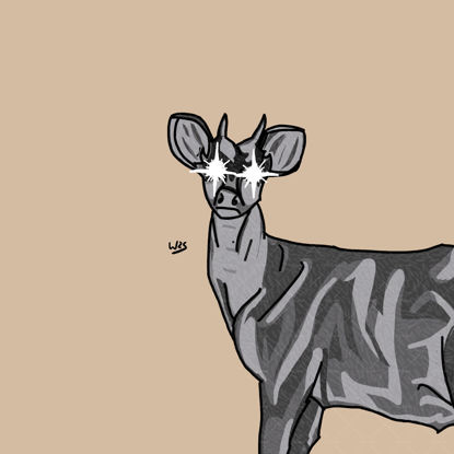 Gray brocket deer (Mazama gouazoubira)