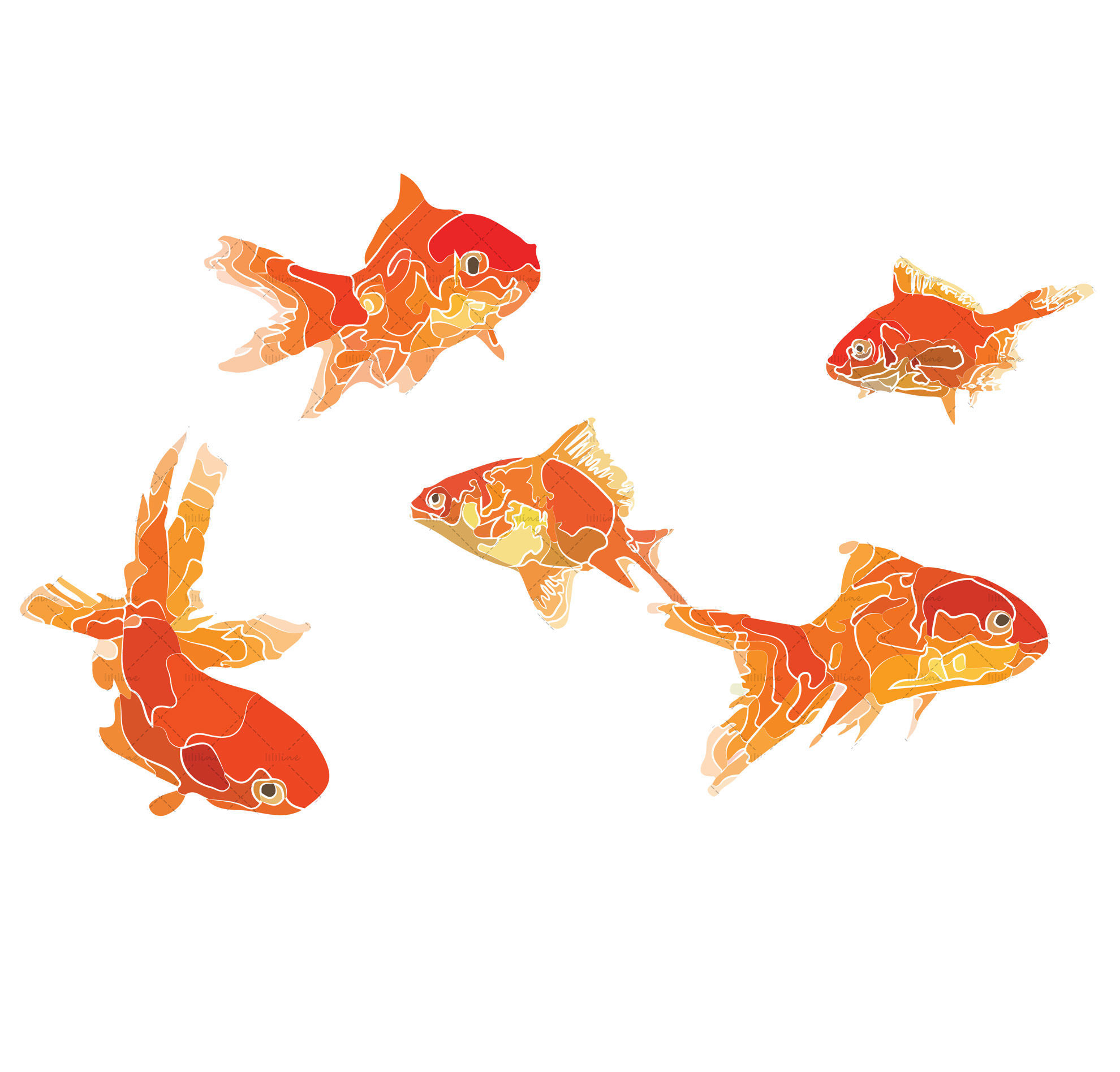 goldfish illustration vector and png