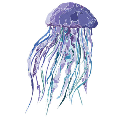 jellyfish illustration vector and png