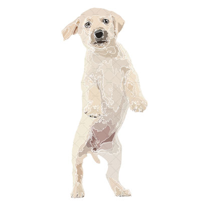 dog puppy png