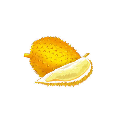 Durian illustration