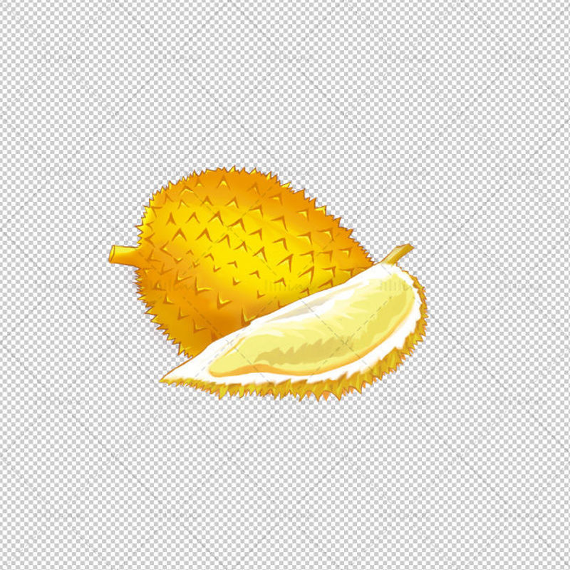 Durian illustration
