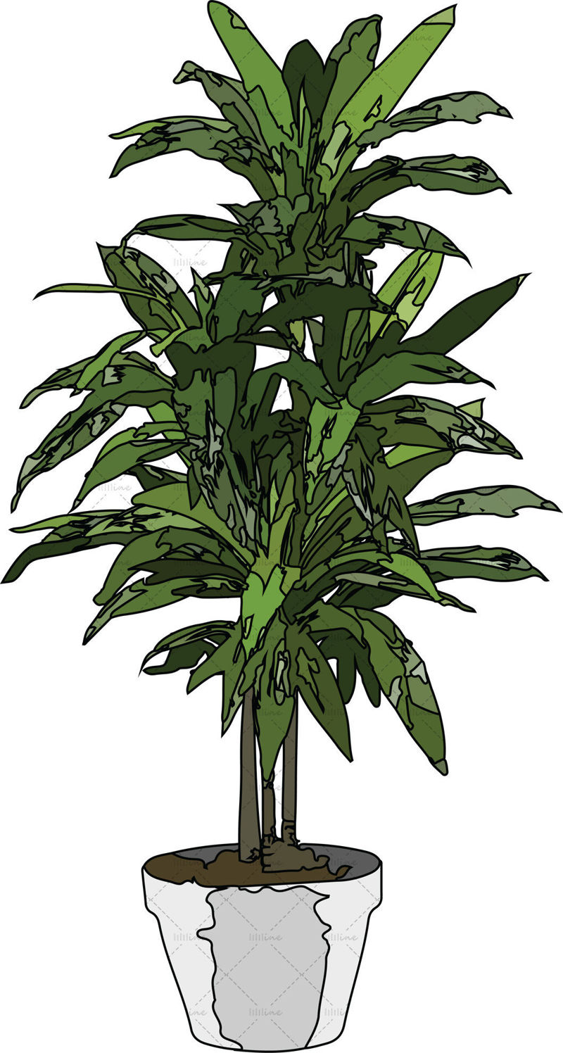 Plant png
