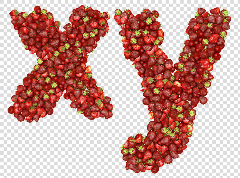 Mit Fruchterdbeer-PNG gefüllte Kleinbuchstaben