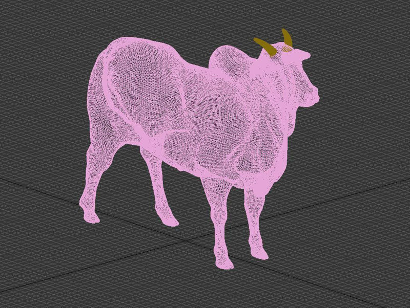 Cattle 3d model