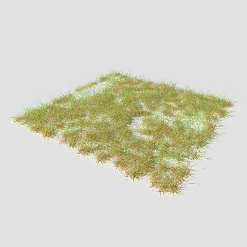 Bloodwort Meadow Patch 3d model