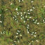 Daisy Meadow Patch 3d model