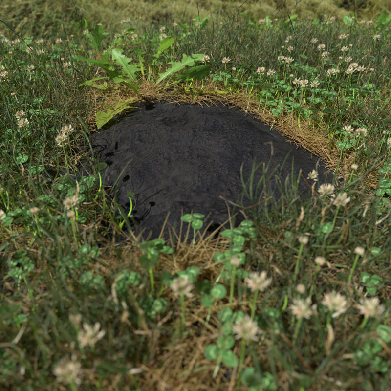 Mole Mound 3d model