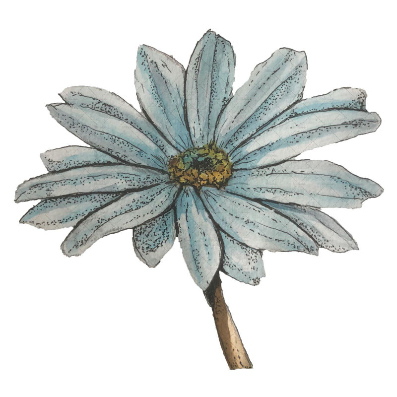Blue flower illustration png