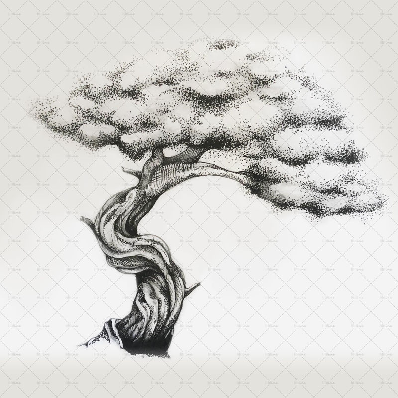 Tree illustration png