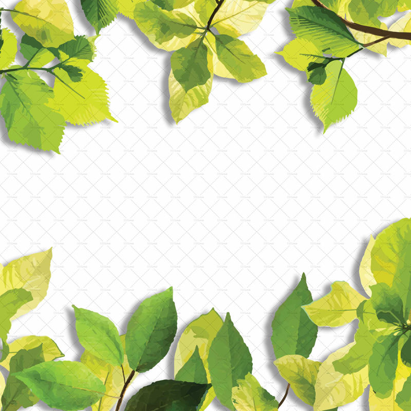 Leaves border frame png digital illustration