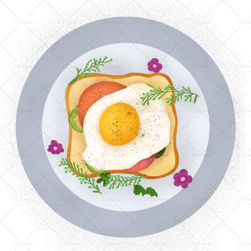 Delicious breakfast bread + fried egg illustration