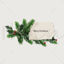 Christmas Mistletoe and note png