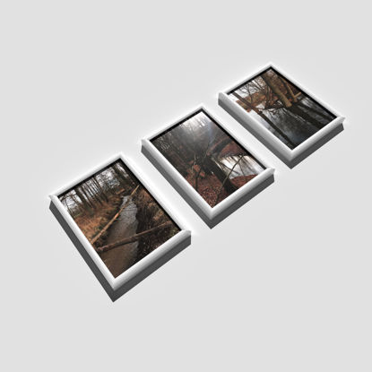 Picture Frames Hanging White 3d model