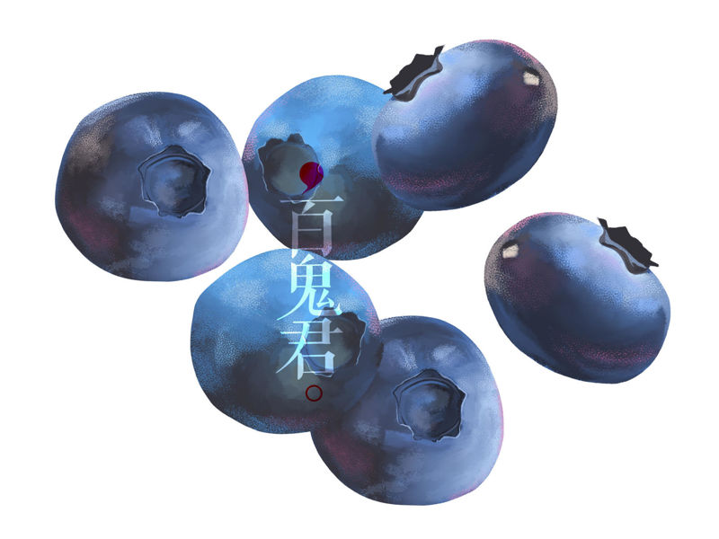High resolution blueberry illustration
