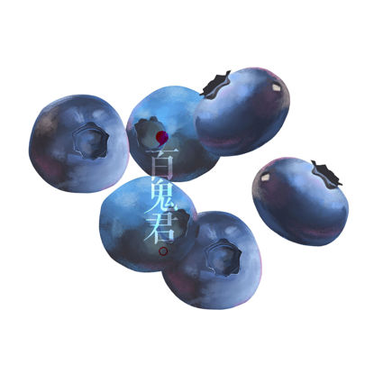 High resolution blueberry illustration