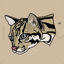 The ocelot (Leopardus pardalis) animal illustration