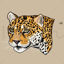 The jaguar (Panthera onca) animal illustration