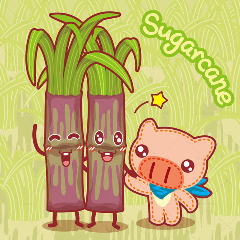 Cartoon fruit, cartoon sugar cane, cartoon pig, big nose pig, illustration vector eps