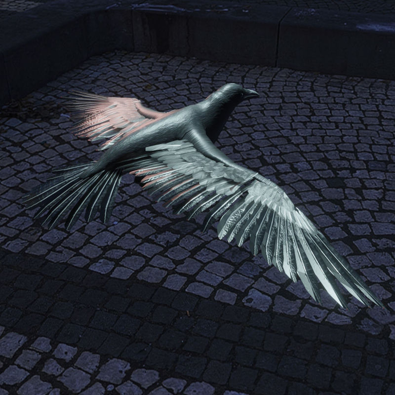 Crow flying 3d model