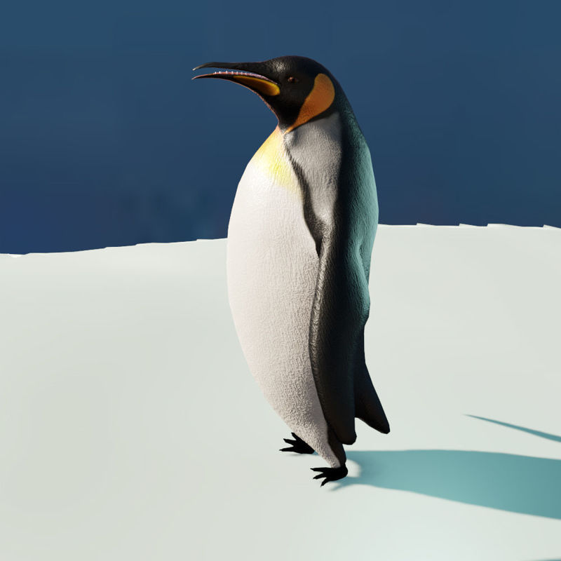 Пингвин 3 6. Пингвин модель. Пингвин 3д модель. Пингвин 3d модель. Императорский Пингвин и человек.
