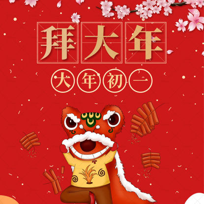New Year's Day Spring Festival Poster