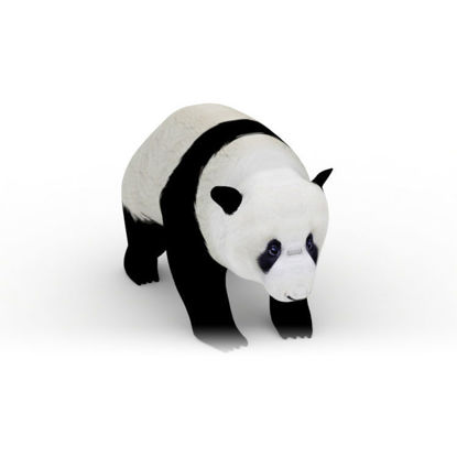 Panda 3D Model Low Polygon