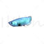Rigged Animated Arowana Silver 3D Model