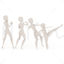 Side Kick Kongfu bip 3ds Max Motion