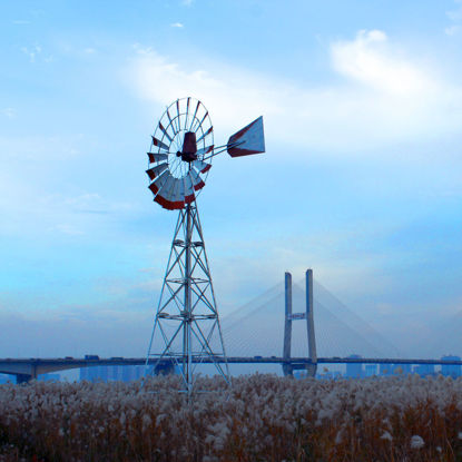 Windmill landscape bridge reed