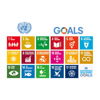 Icon for Sustainable Development - United Nations Icon Book Vector
