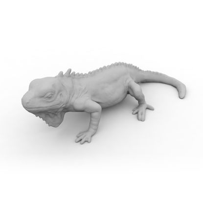 Iguana 3d printing model