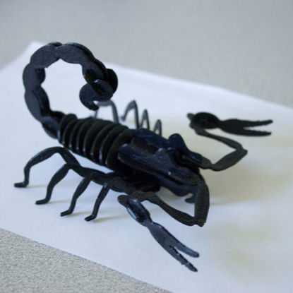 Scorpion Puzzle 3d printing model