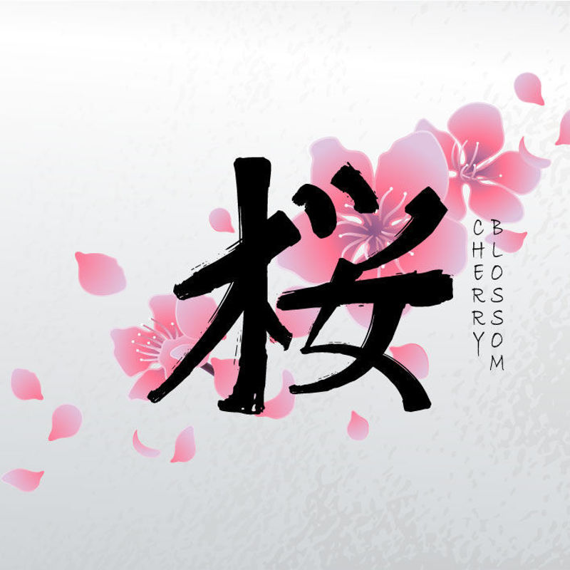 Japanese Style Cherry Blossom Background 50