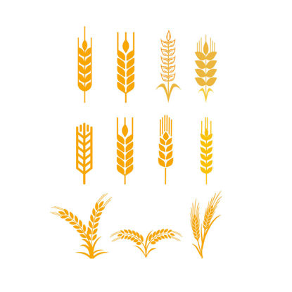Barley Wheat AI Vector