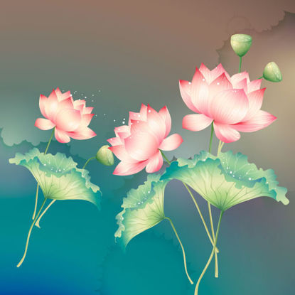 Chinese Style Painting Lotus Seed AI Vector