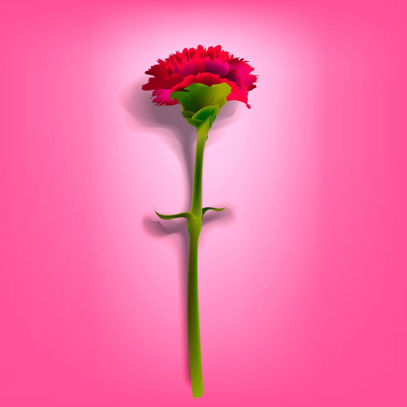 Photorealistic Flower Carnation Graphic AI Vector