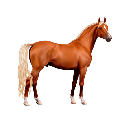 Animals Horse Photorealistic Graphic AI Vector