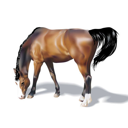 Horse Steed Photorealistic Graphic AI Vector