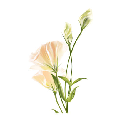 Beautiful Flower Graphic Element AI Vector