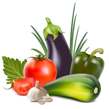 Photorealistic Vegetables Collection Graphic AI Vector