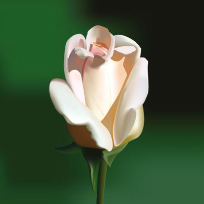 Photorealistic White Rose Graphic AI Vector