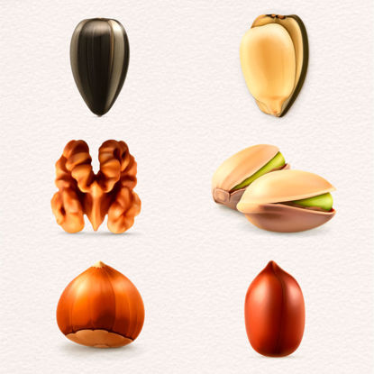 Nuts Photorealistic Graphic Design AI Vector