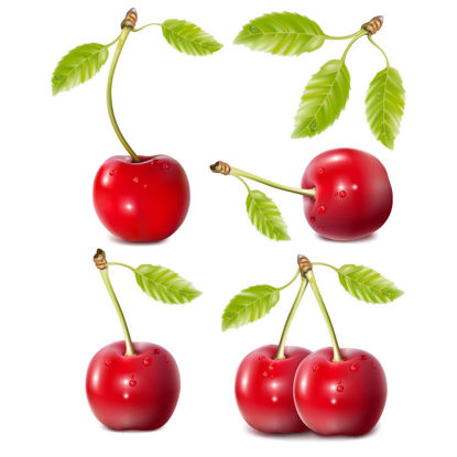 Cherries With Leaves Waterdrops Graphic AI Vector