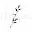 Dragonfly Bamboo
