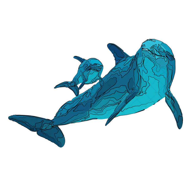 Dolphin illustration vector and png