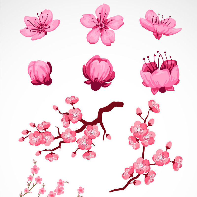 Hand Drawing Peach Blossoms Graphic AI Vector