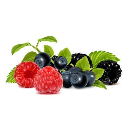 Photorealistic Fruit Berry Graphic AI Vector