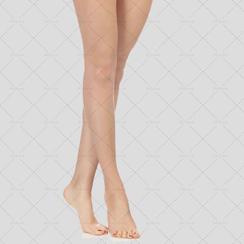Female Leg psd