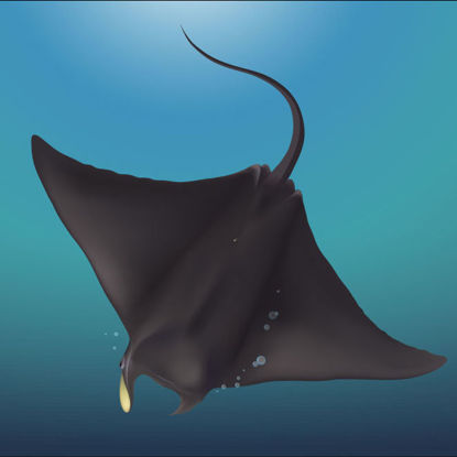 Deep Sea Fish Ray Graphic Design AI Vector